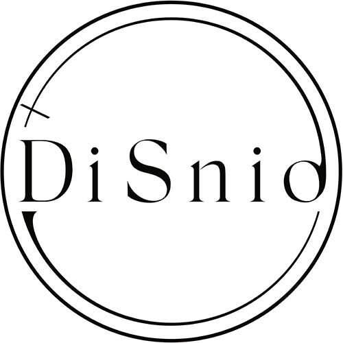 DiSnið